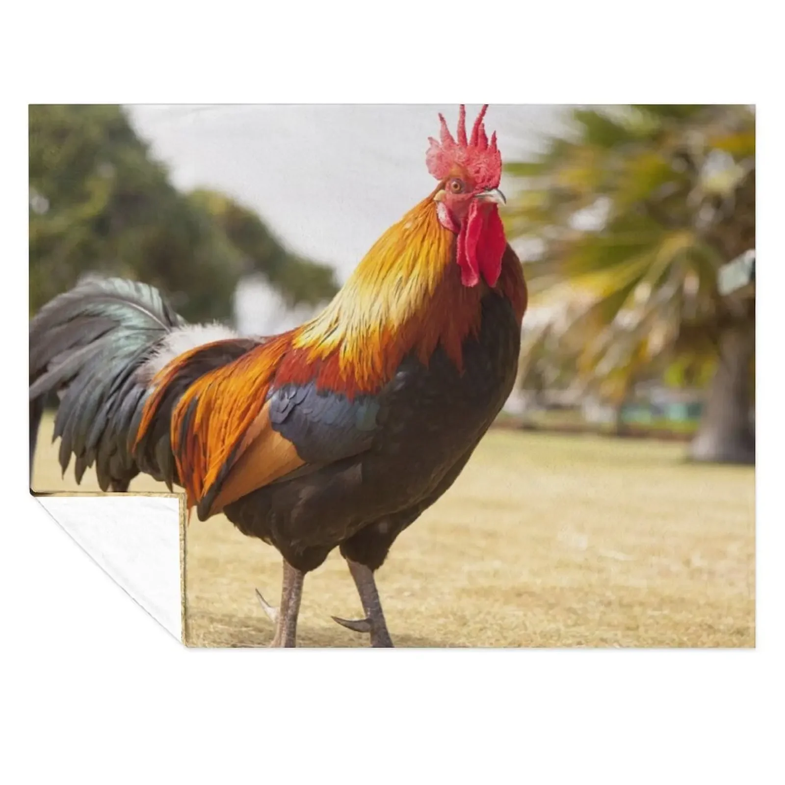 

Rooster Throw Blanket Soft Beds Bed covers Soft Plaid halloween Blankets