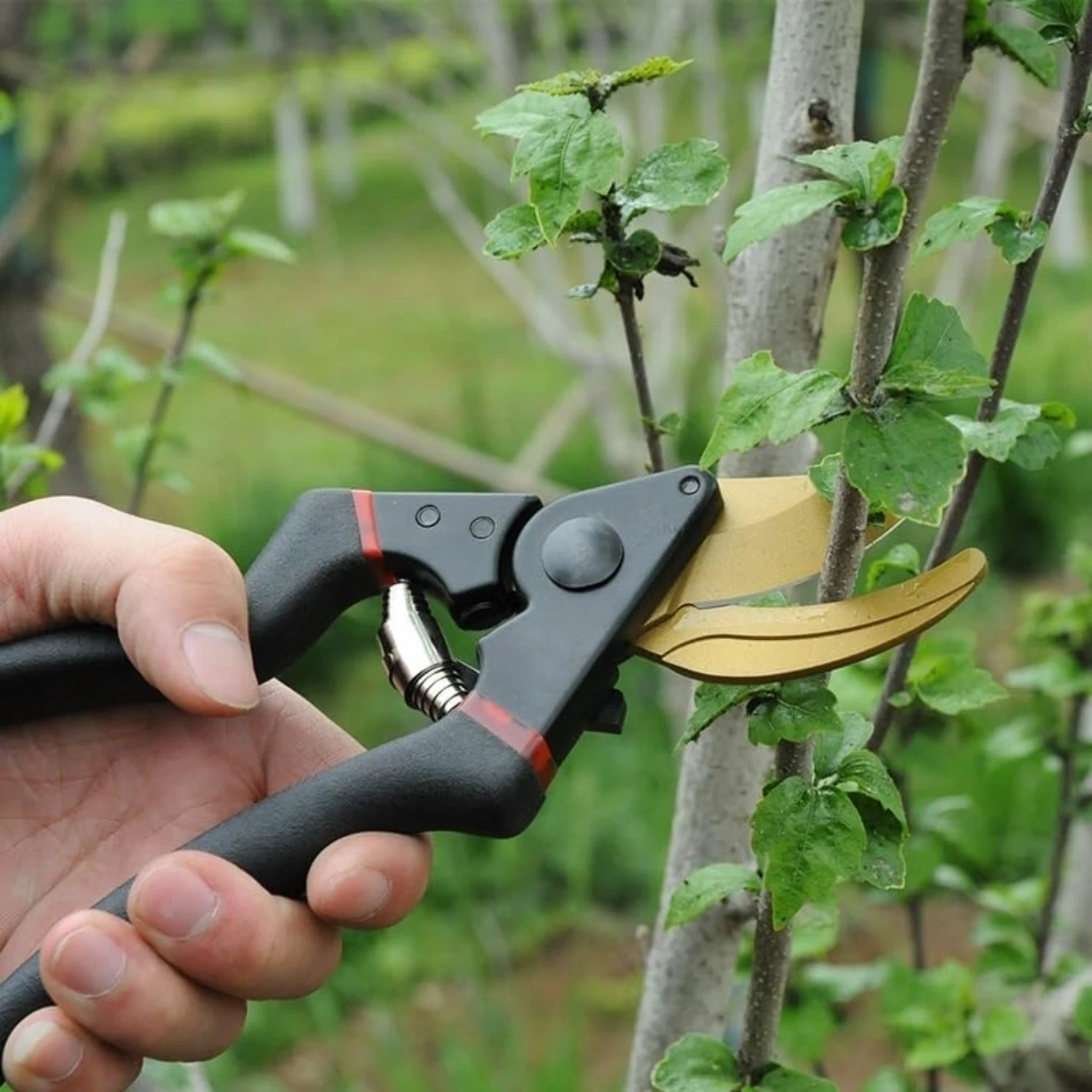 High-Quality Professional Grade Precision Garden Pruning Shears - Perfect for Cutting Thick Branches and Fruit - Top-Notch Heavy