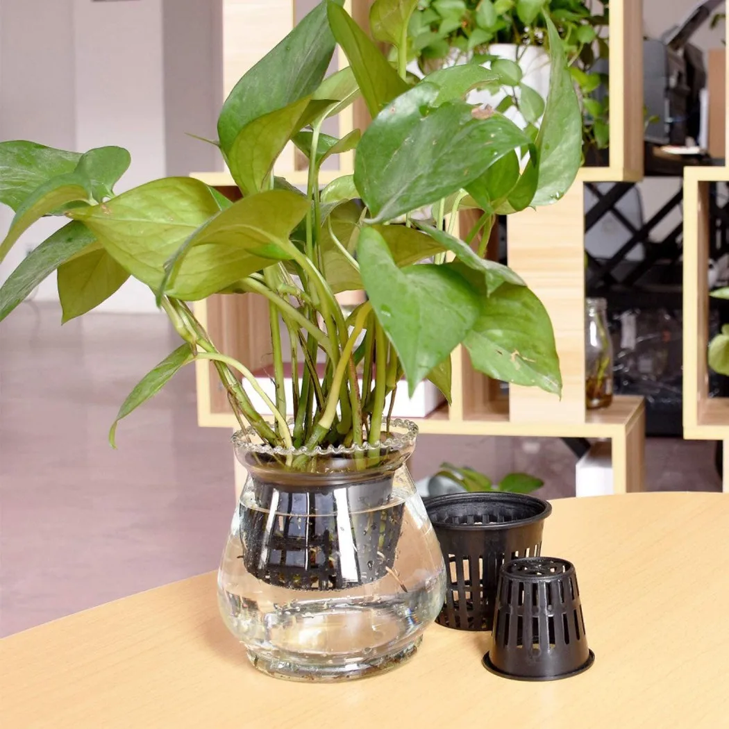 25 Pieces Pot Net Cups for Garden Plant Containers Made with Plastic Material Suitable for Cloning and Aeroponic