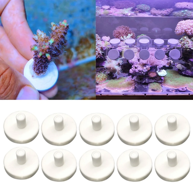 Coral Frag Disks Ceramic for T Shaped Coral Base Practical Fish for Tank Supplie