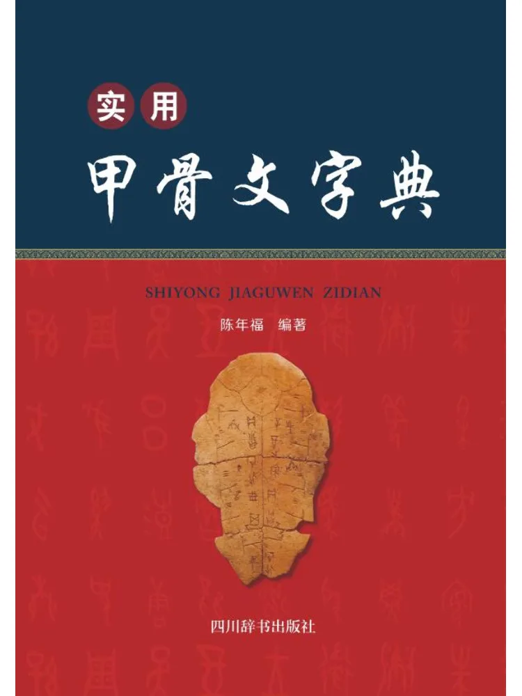 Słownik Praktyczny Oracle Book-Winshare