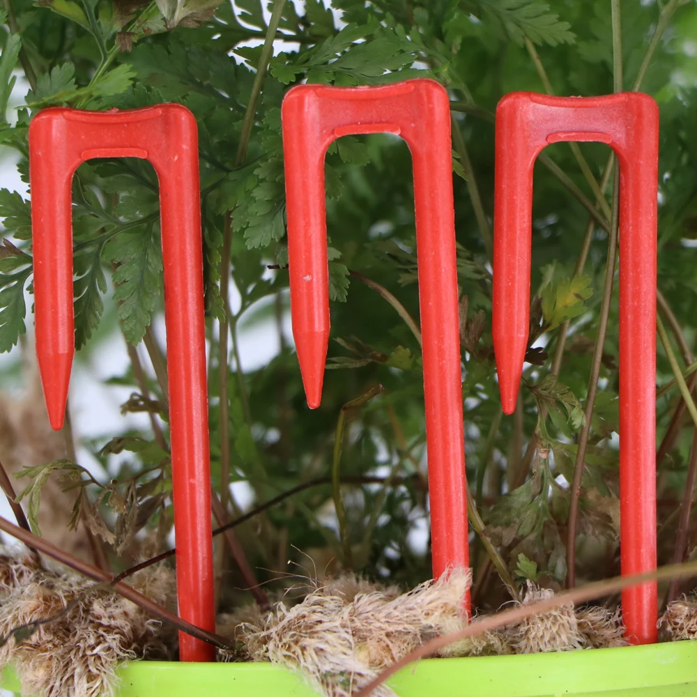 20-50PCS widelec do sadzenia truskawek, widelec do kopania, uchwyt do tworzenia, 50mm, 93mm, 108mm, urządzenie do prasowania grapevine, wspinaczka