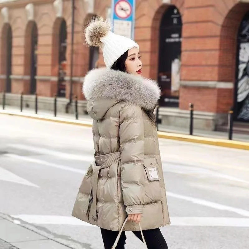 2024 Winter Nieuwe Mode Koreaanse Versie Anti-seizoen Katoen gewatteerde vrouwen Lange Losse Warme Katoen gewatteerde Jas Kapmantel Tij