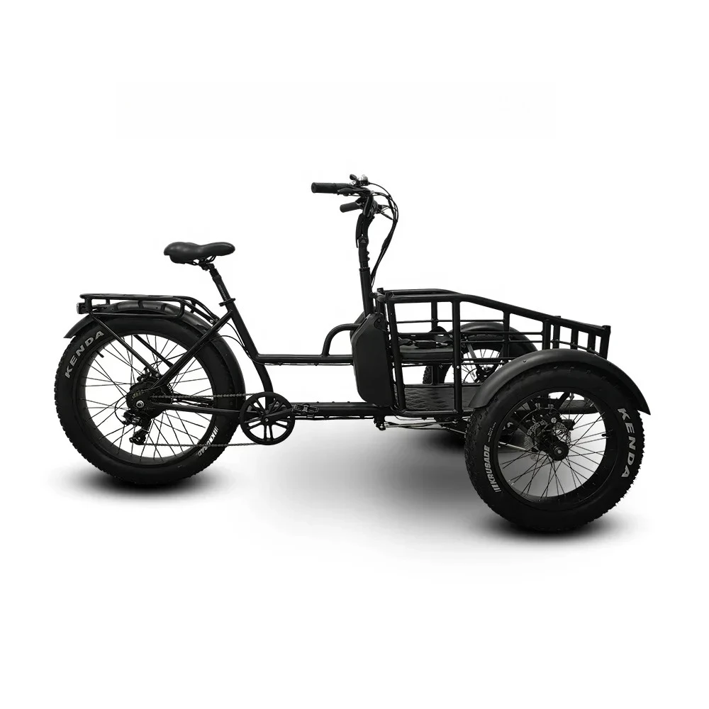 500W Motor Electric Front Load Cargo Bike With Lithium Battery 3 Wheel Tricycle Electric Trike Tricycle For Cargo