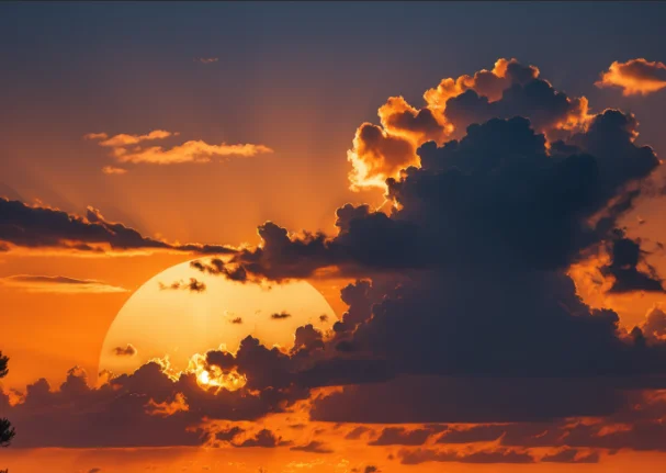 

Сумки-конверты с пузырьками, 20 шт., розовые самозапечатывающиеся почтовые конверты, мягкие транспортировочные конверты с пузырьками, почтовые пакеты, подарочные пакеты для доставки