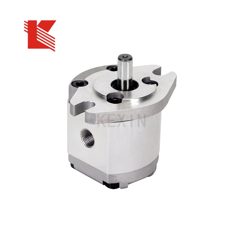 Clockwise rotation direction small displacement gear pump Small flow hydraulic pump