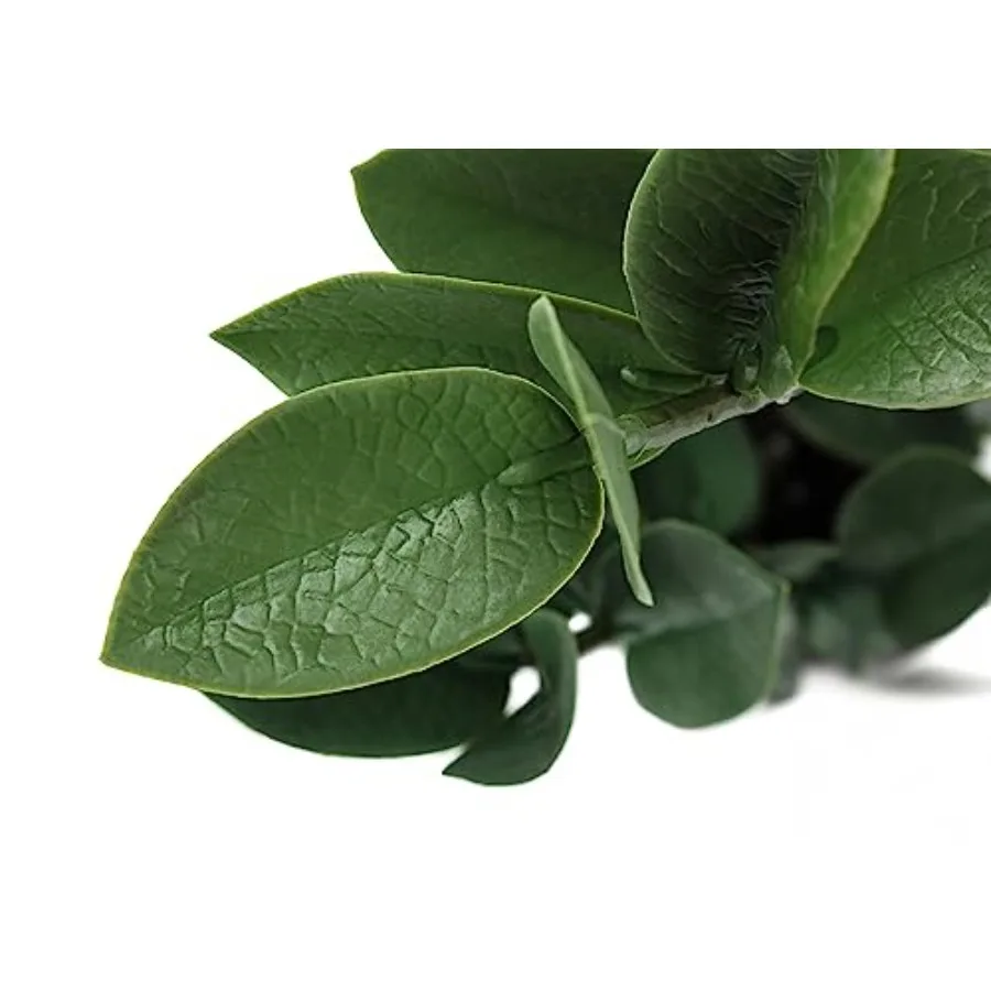 نبات Zz الاصطناعي بطول 20 بوصة مع أوراق خضراء لمسة حقيقية في وعاء أسمنتي رمادي لطاولة داخلية مزخرفة بالخضرة الصناعية المثالية