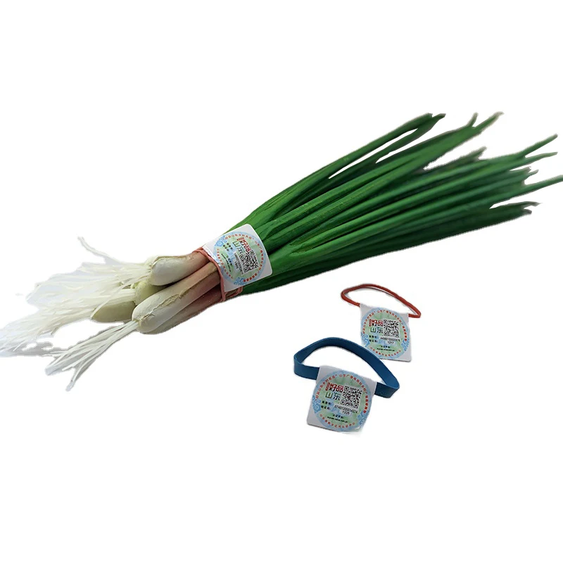 شريط مطاطي ربط الخضروات المطبوع بشعار قابل للتخصيص لعام 2025 مع علامات/ملصقات لتعبئة الفواكه والخضروات الطازجة