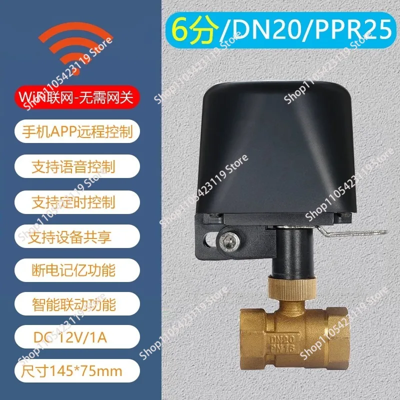 WiFi Smart Ball Valve, 12V DC Automatic Water Shut Off Valve with App Control