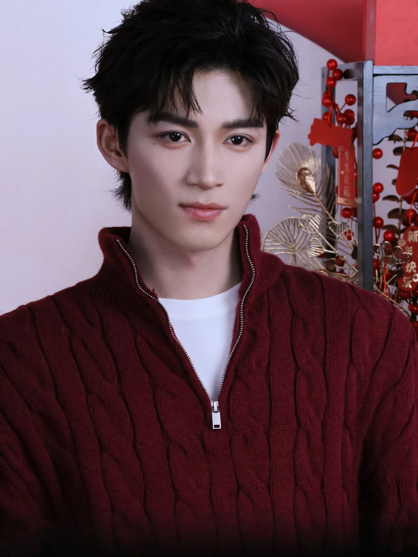 

Мужской зимний теплый свитер с воротником-стойкой, винно-красный, однотонный, на молнии, с полувысоким воротником, из кашемира.