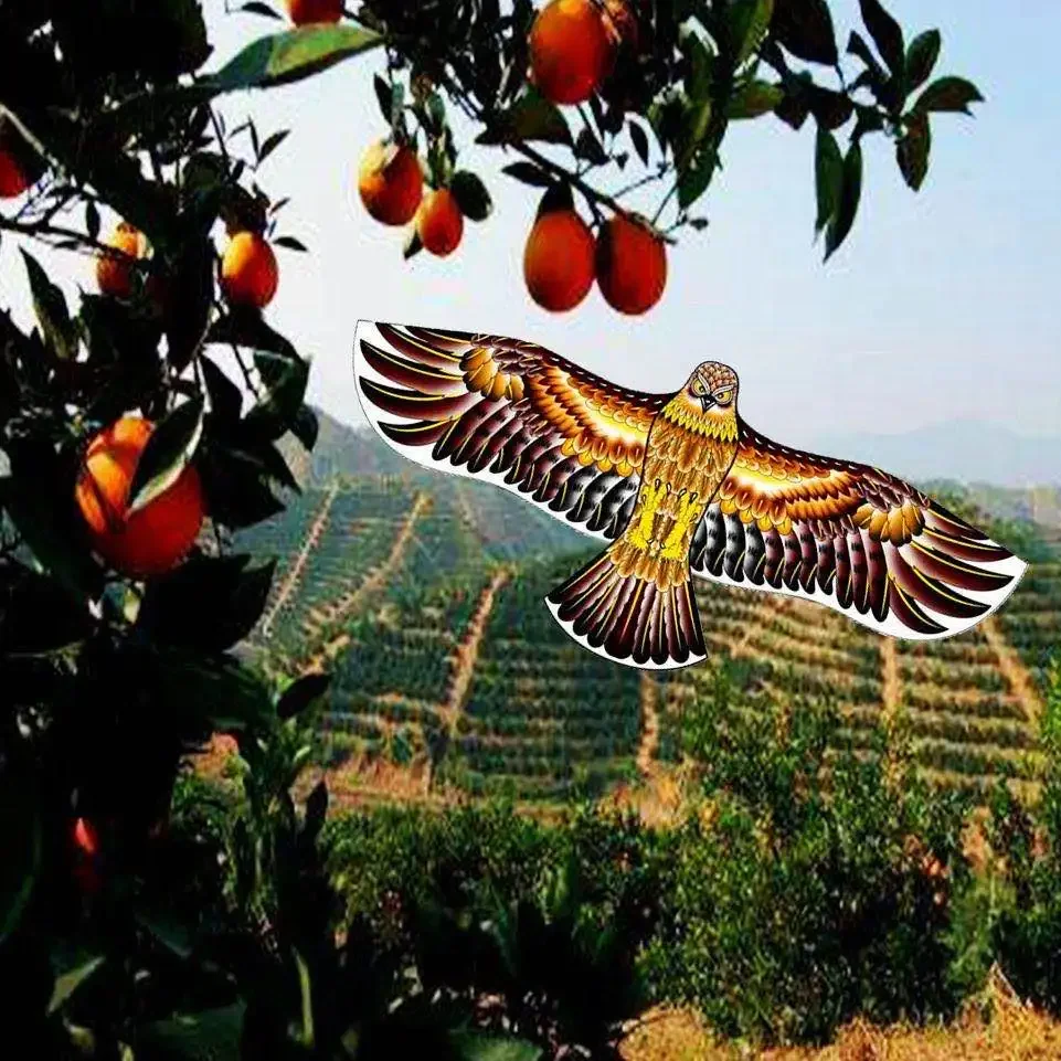 Anti Bird Flying Hawk Kite Bird Repeller Large Eagle Kites Scarecrow Decoy for Farm Garden Pest Bird Repellent