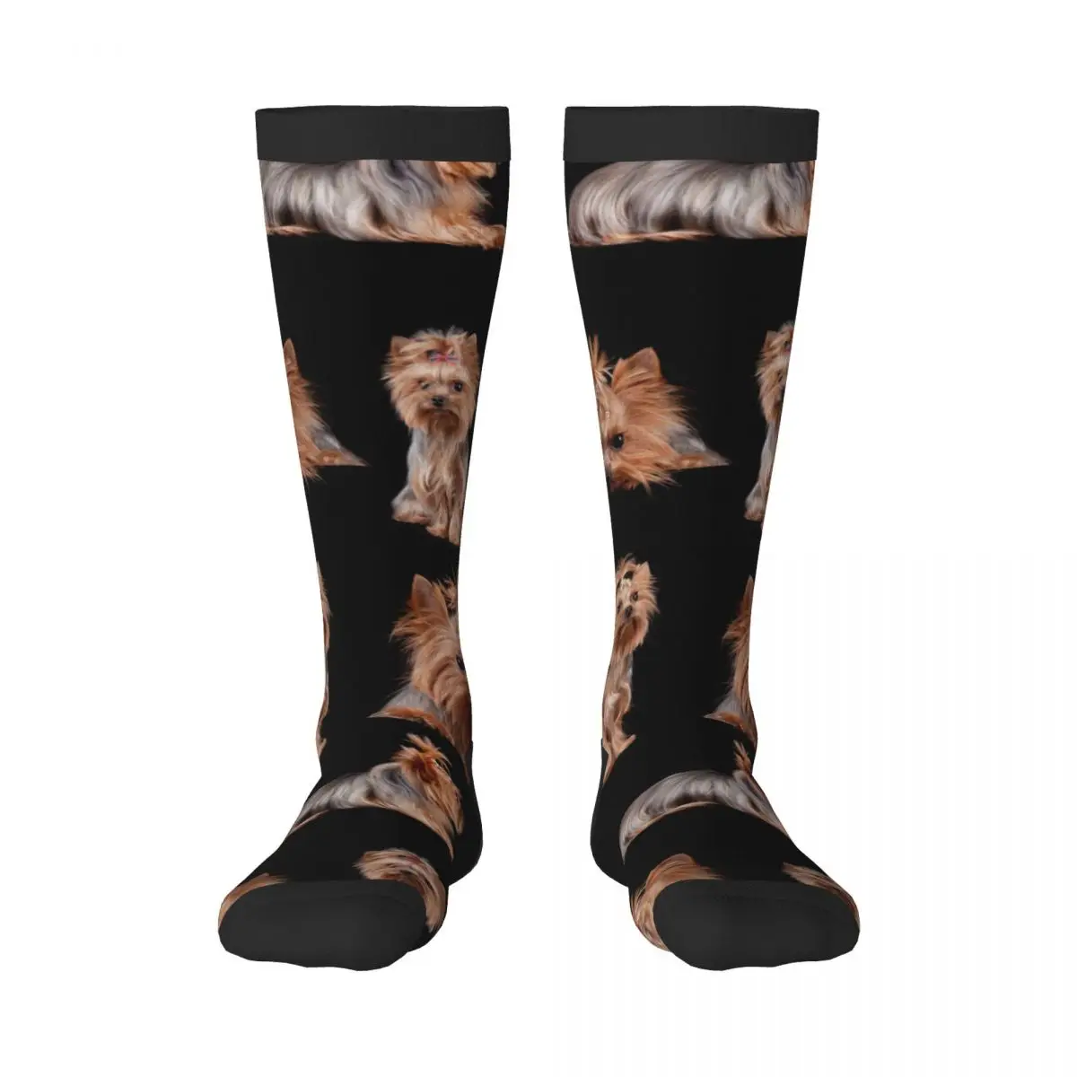 Knee Long Stocking Yorkshire Terrier Dogs Background Adult Socks Stockings