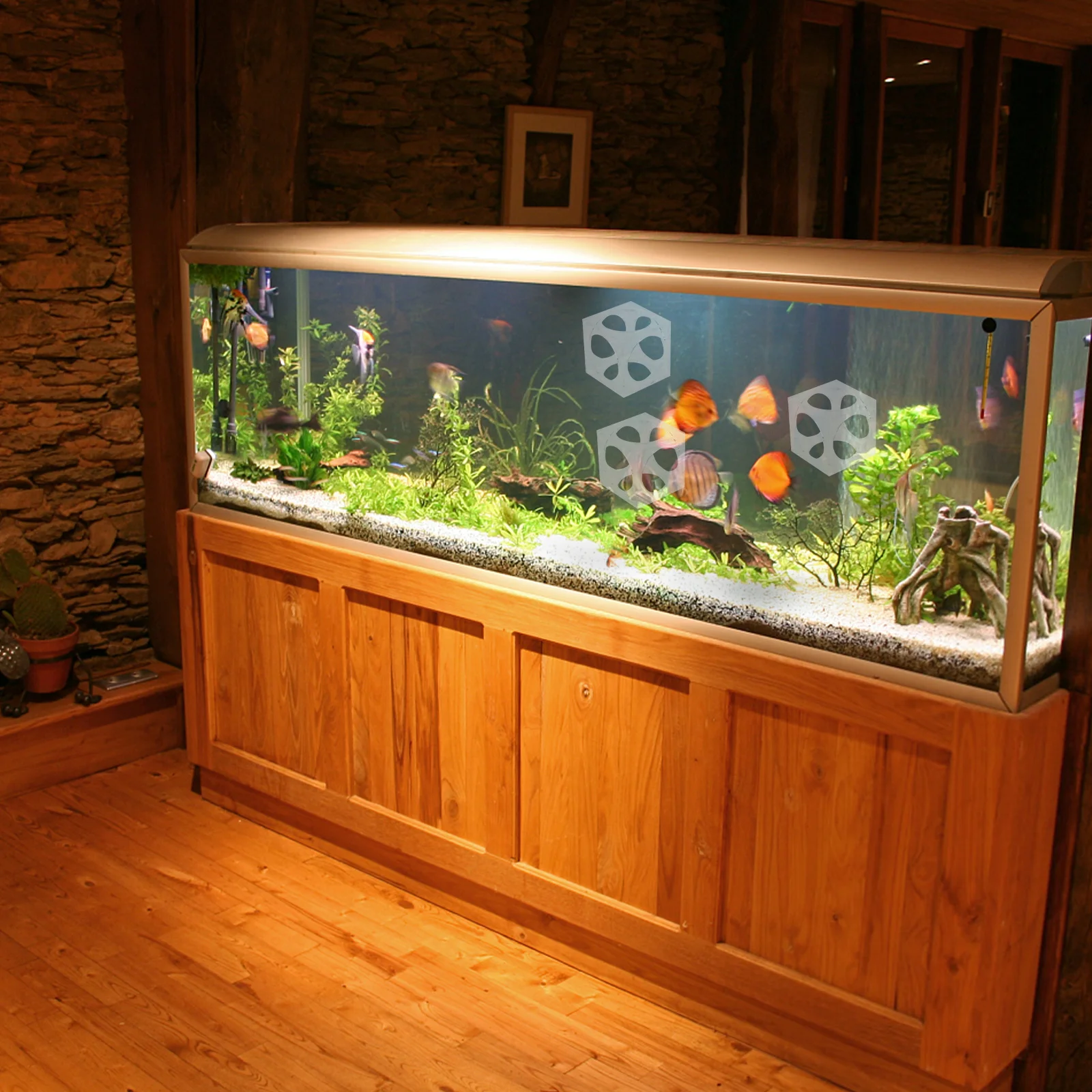 

6Pcs Shrimp Cave Unique Fish Tank Hiding Place Transparent Color High Craftsmanship Durable Aquarium Decoration Spawning Shelter