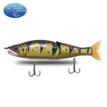 COLOR-BASS-009