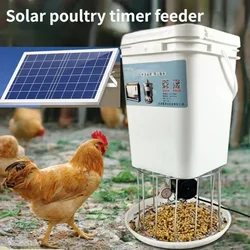 Solar poultry automatic timing feeder chicken, duck, goose, pigeon trough fish pond feeder