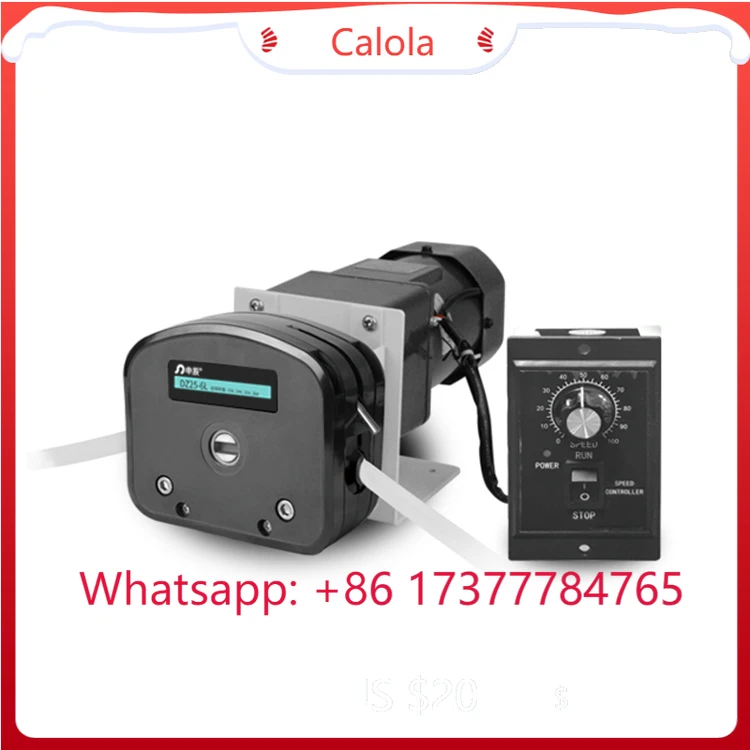 

DZ25-6L Big Flow Rate Peristaltic Pump for Viscous Liquid