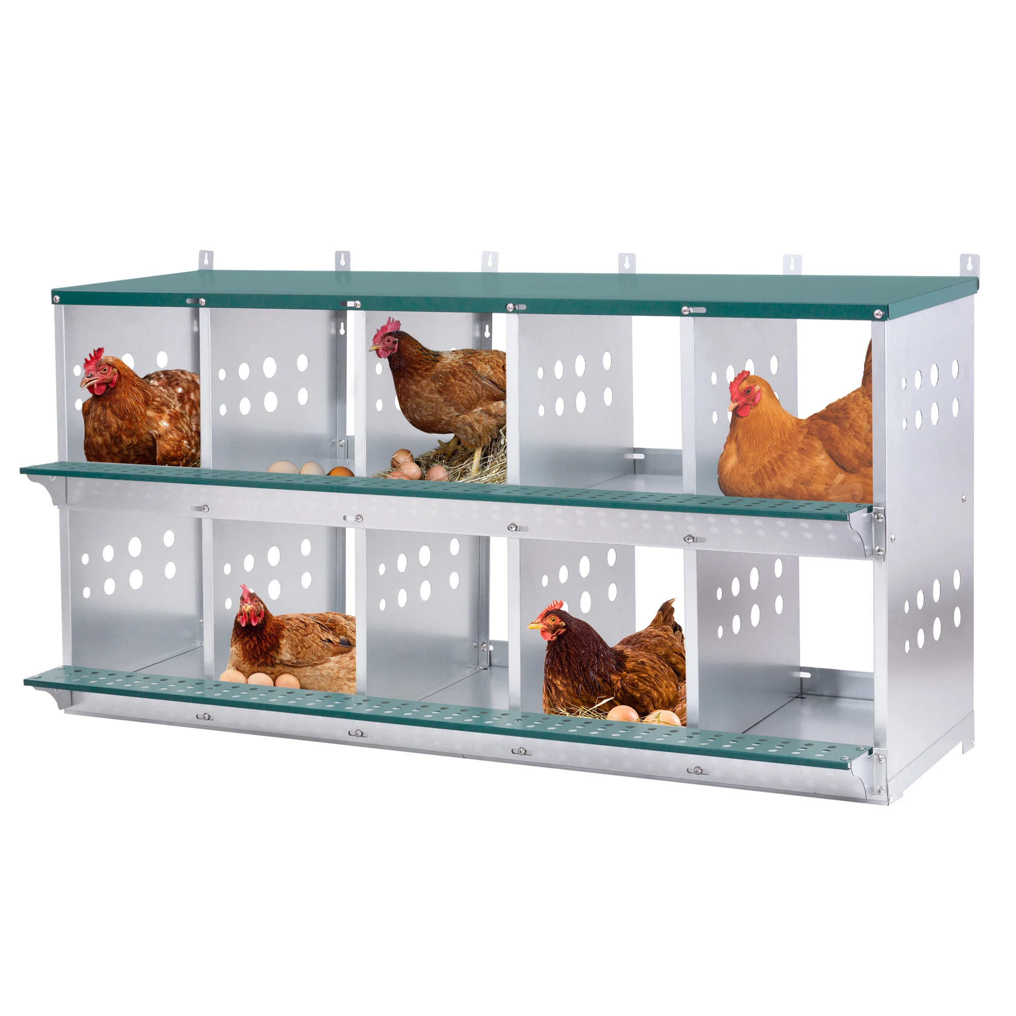 

wh-10-Bay Metal Nest Box-Wall Mount for Hens/Ducks, Easy Egg Collection & Assembly, Vented Galvanized Steel Coop#