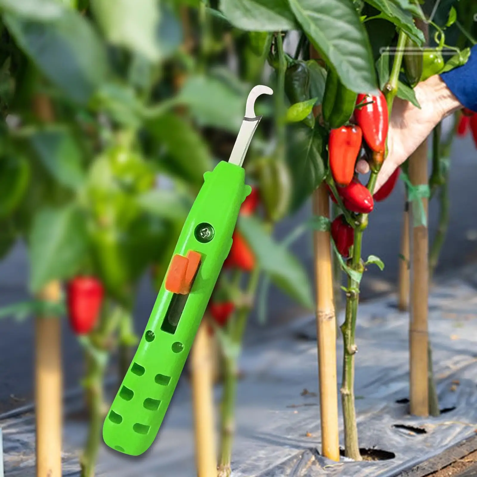 Strumento per la raccolta di verdure Raccoglitrice di pepe ergonomica veloce Strumento per la raccolta di potatura di fiori per uva melograno peperoncino pomodoro giardinaggio
