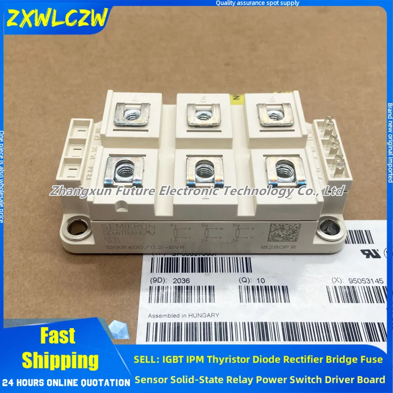 IGBT SKKR300/0.2-BVR SKKR400/0.2-BVR SKKR800/0.1-BVR 6MBI450UA-120-02 Drive A5E00768956 A5E00765725 A5E32692872 NEW FS225R12KE3