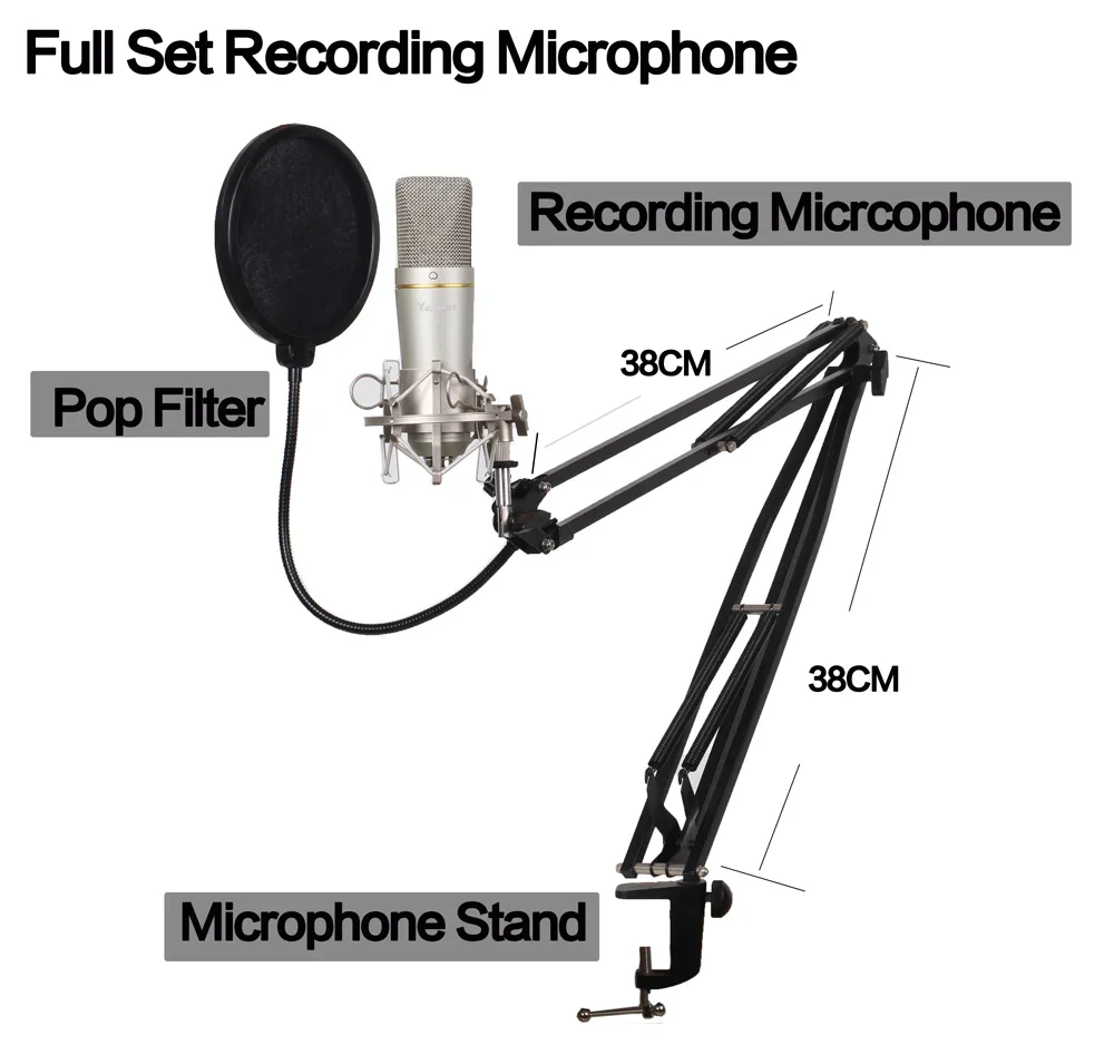 XLR Condenser Microphone Professional Recording Microphone Music Broadcast studio microphone YR01