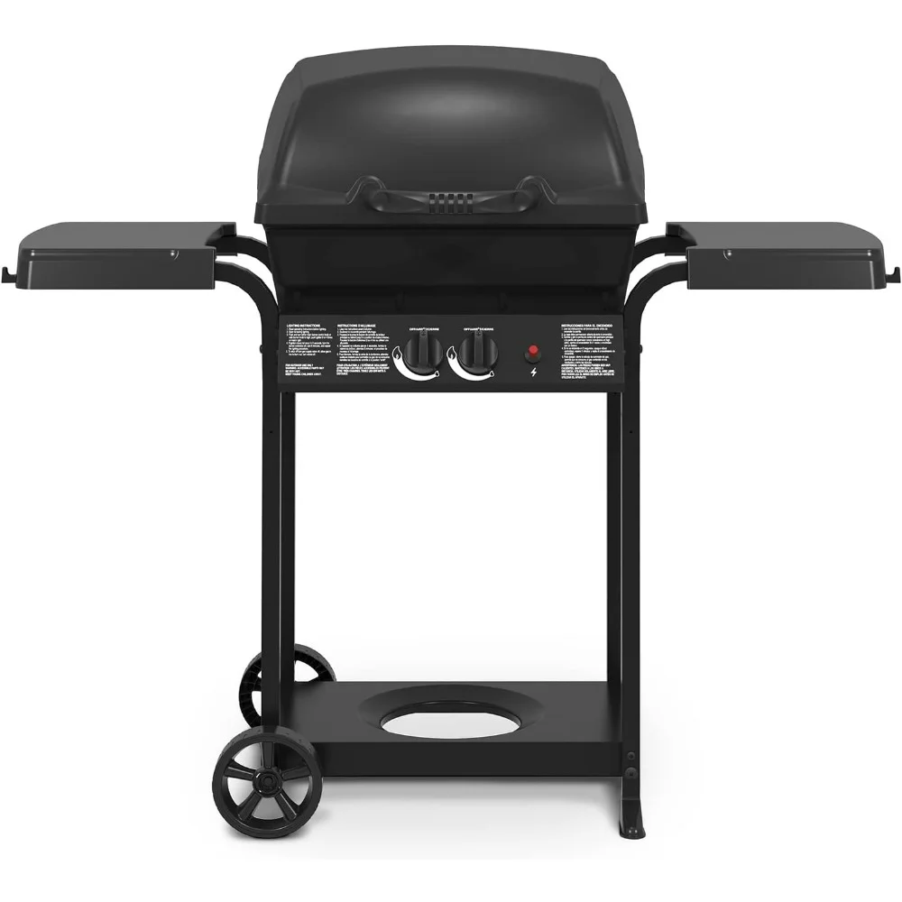 Cast 2-Burner, Liquid Propane Gas Grill, Black