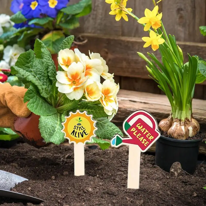 Funny Plant Stakes Set of 15 Plant Labels for Indoor Decorative Waterproof Flower Pot Tags Gardening Signs Succulent Stakes for