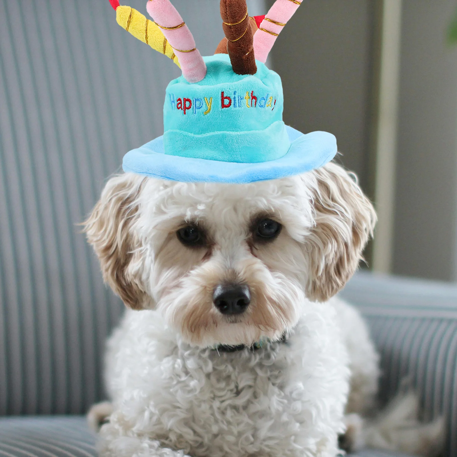 

Pet Birthday Hat Cake Design with Five Colorful Candles Adjustable Clip for Small Medium Dogs Cosplay Party Hat