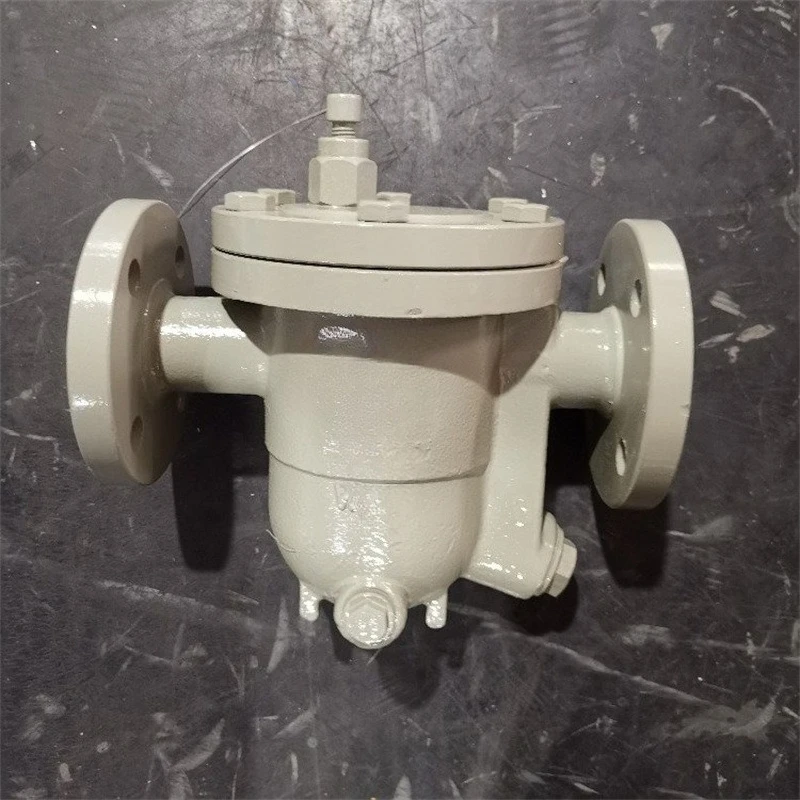 

Steam Trap, Mass Storage Steam Trap DN25 Steam Slot