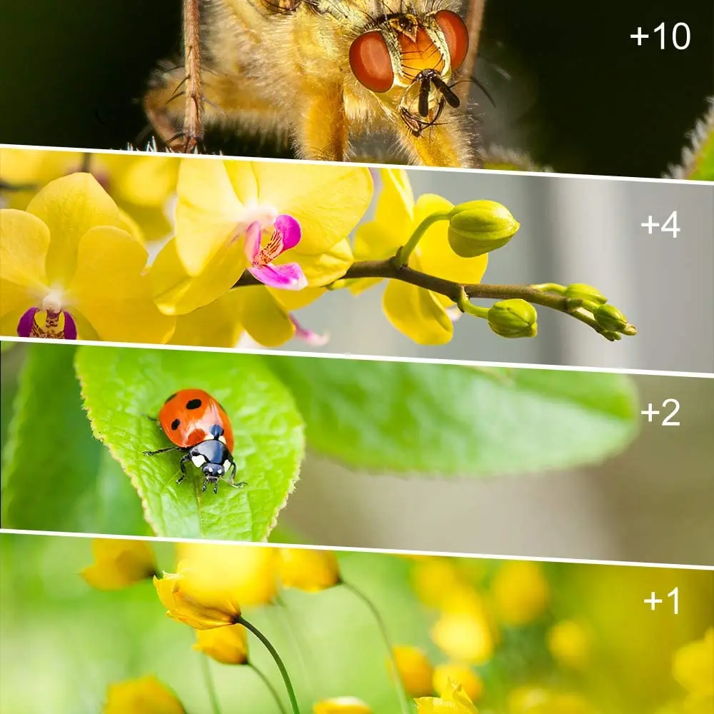 37 مللي متر 40.5 مللي متر 43 مللي متر 46 مللي متر 49 مللي متر 52 مللي متر 55 مللي متر 58 مللي متر 62 مللي متر 67 مللي متر 72 مللي متر 77 مللي متر 82 UV CPL ND FLD عن قرب اللون DSLR مرشح الكاميرا عدسة هود عدة