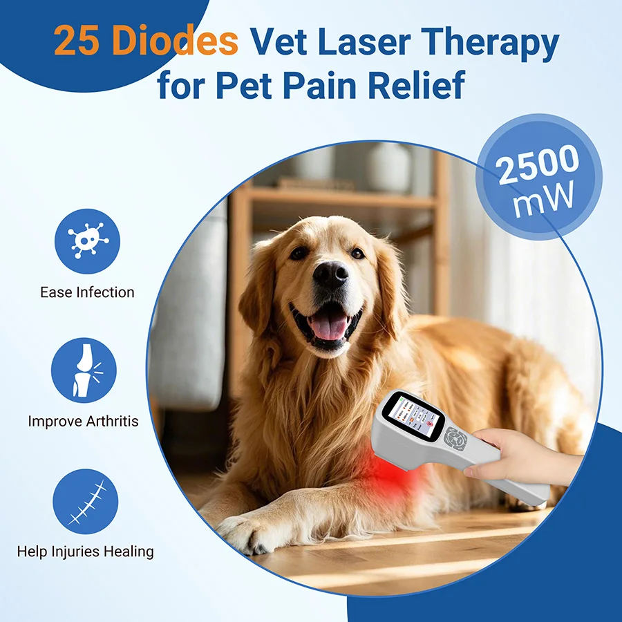 

2026 2.5W Horse Dogs Photobiomodulation 808 905 Laser Light Pain Relief Machine for Pet Horse Deep Tissue Repair