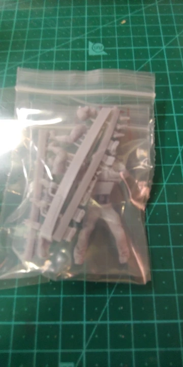 Buyer photo of this resin kit