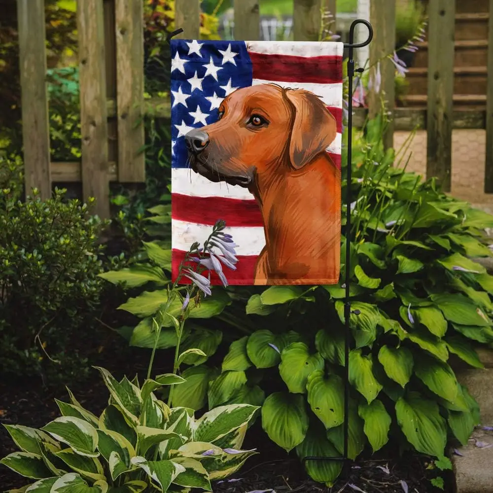 Caroline's Treasures CK6676GF Rhodesian Ridgeback Dog American Flag Garden Flag Mailbox Flag Decorative Yard Flag  Out