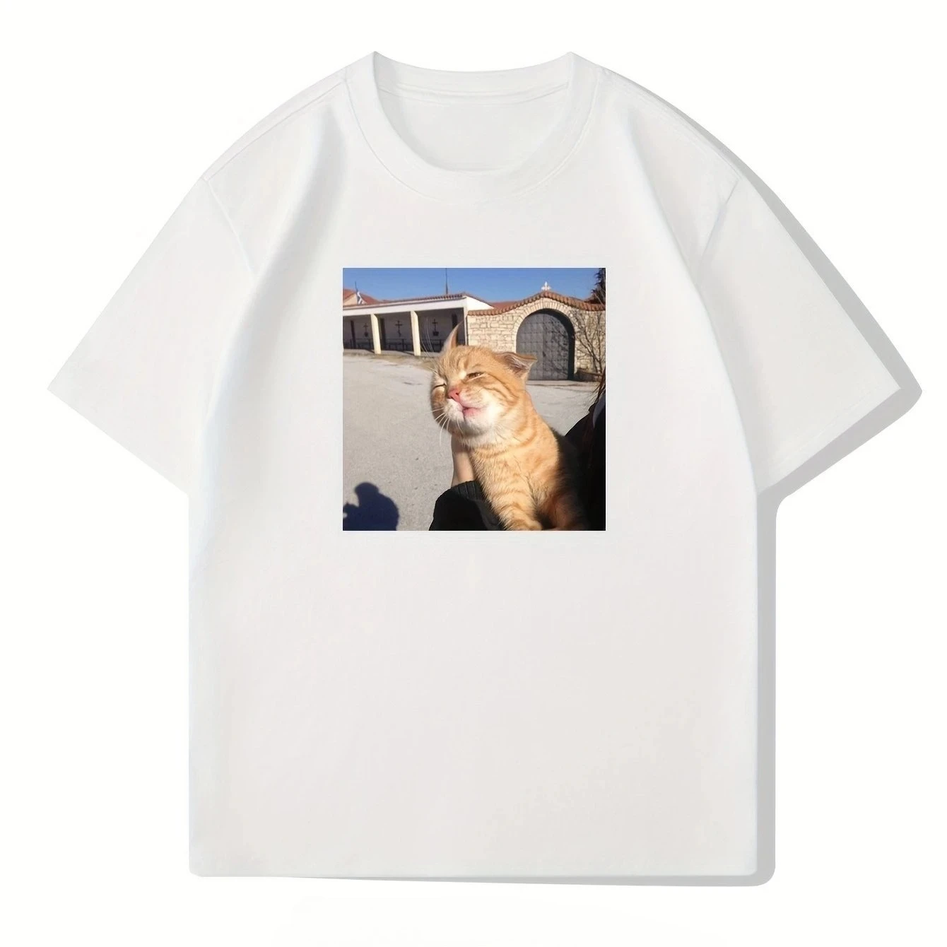 

Женская повседневная футболка с коротким рукавом и принтом кошки, летний модный топ, женская одежда, эстетичная одежда