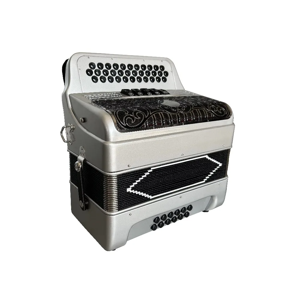 أداة الأكورديون Diatonic المهنية OEM 34 أزرار 12 باس 5 سجلات الجسم الفضي الأسود الفضة شواء JB3412D