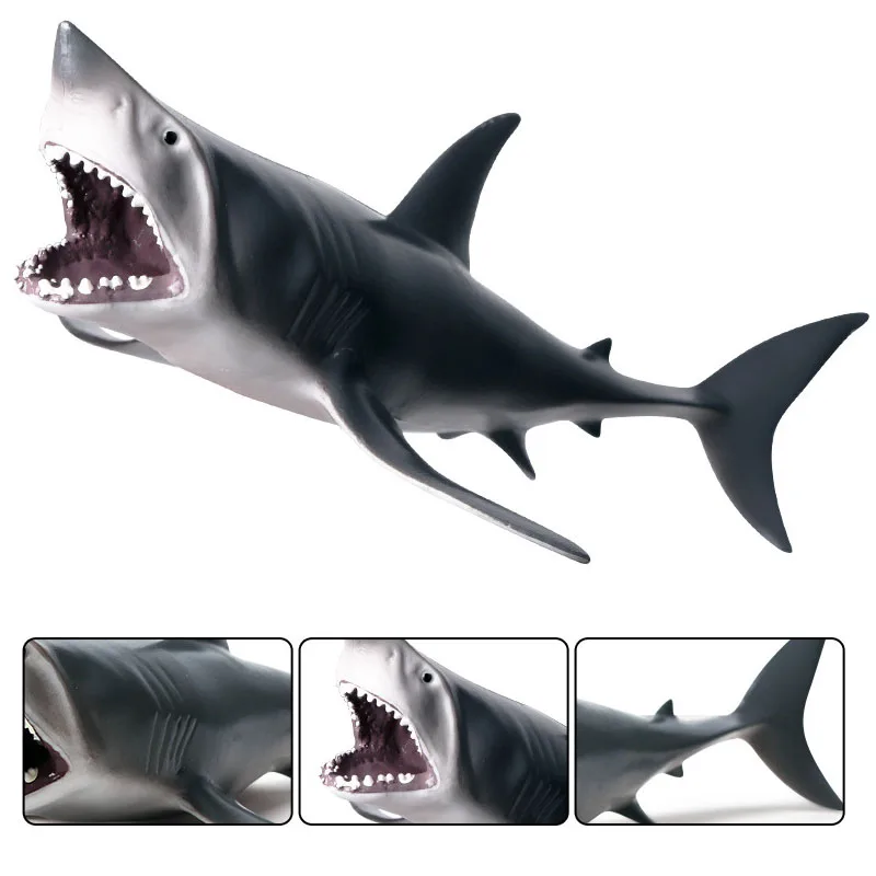 1Pcs Simulation Sale Sea Life  Animals Models Sharks Action Figures Toy Educational Collection Educational Toy for Children Gift
