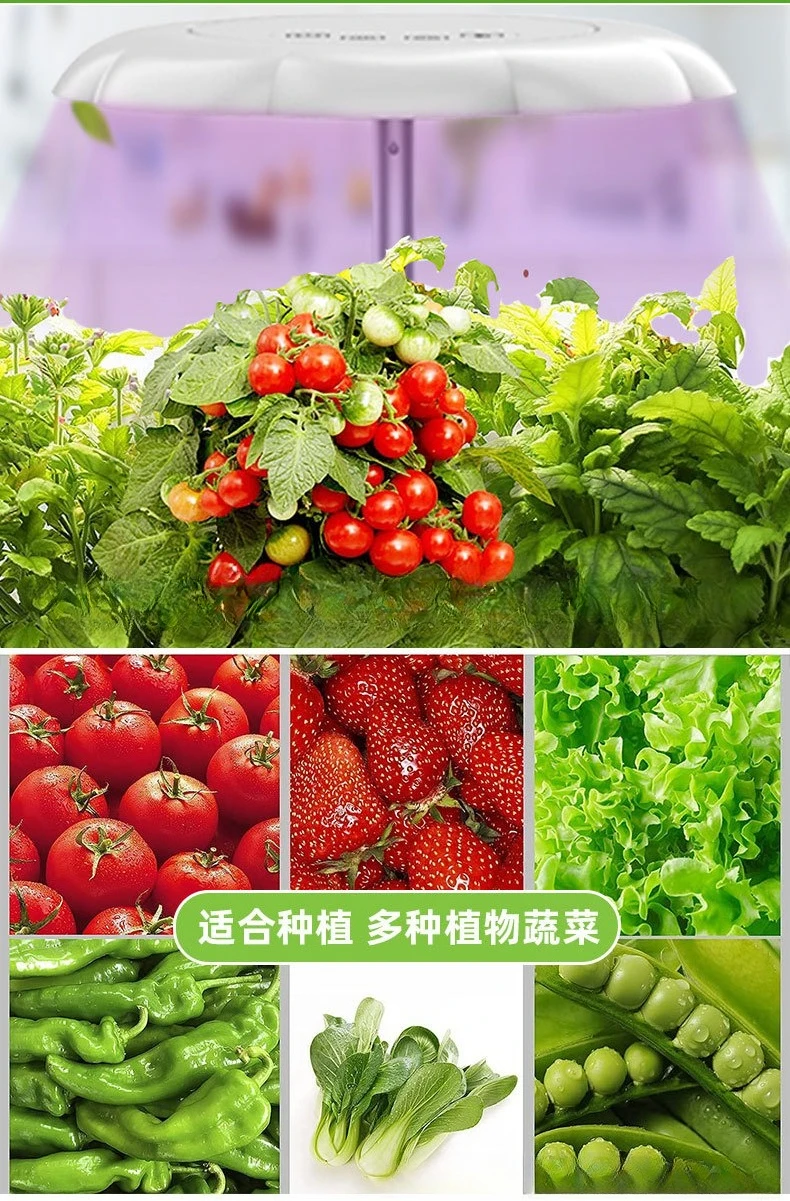 Hydroponic vegetable planting basket soilless cultivation planting set with AB fertilizer applicator for AeroGarden planting