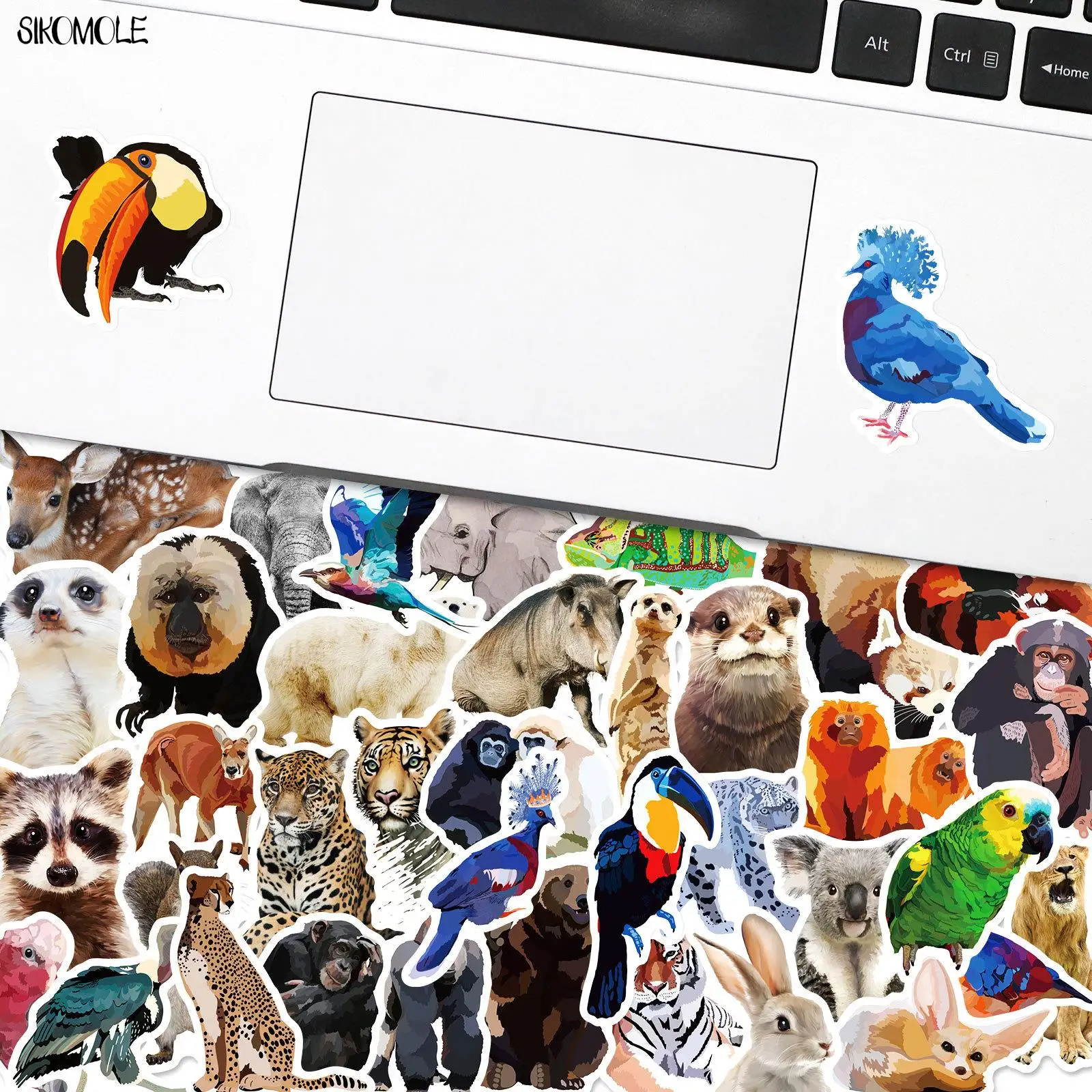 10/30/50PCS Cartoon Zoo Wild Animals Stickers Kawaii Lion Bird DIY Kids Toys Phone Skateboard Laptop Decals Graffiti Sticker F5