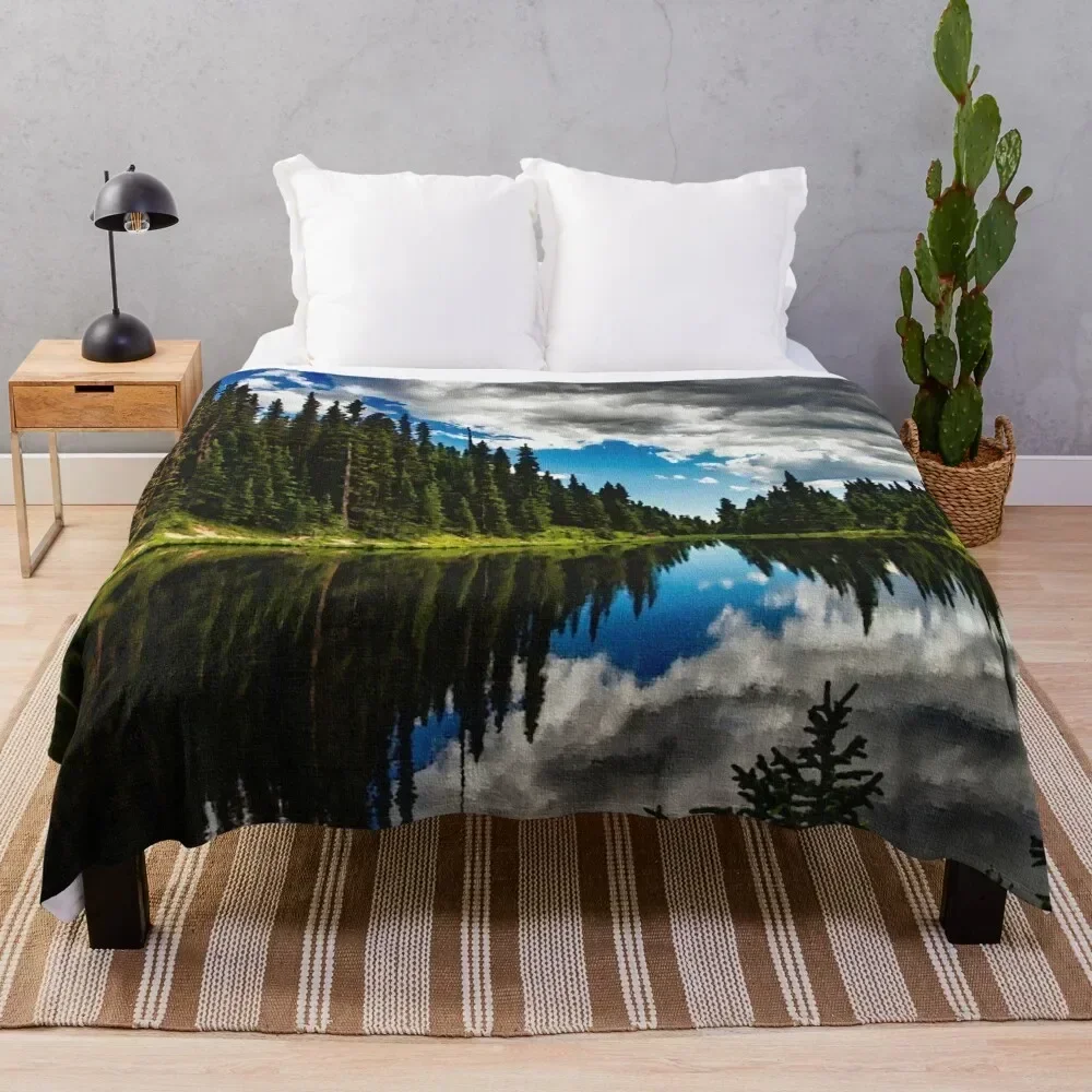 

Colorado Oil Painting Throw Blanket Soft Solid Color Blanket for Couch Bed