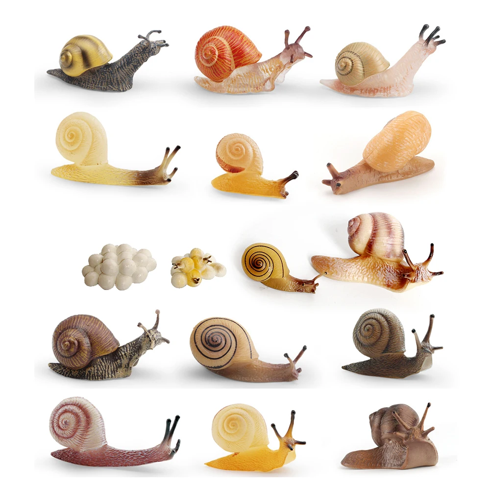 AliExpress ONLYFIGURES Realistic Life Cycle Of A Snail Model Figure Snail Figurine Party Favors Supplies Cake Toppers Desktop Decoration Collection Toy