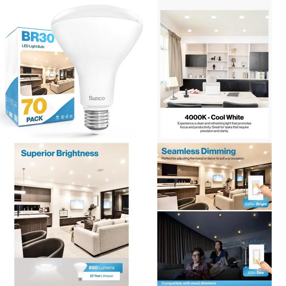 Led BR30 Recessed C…
