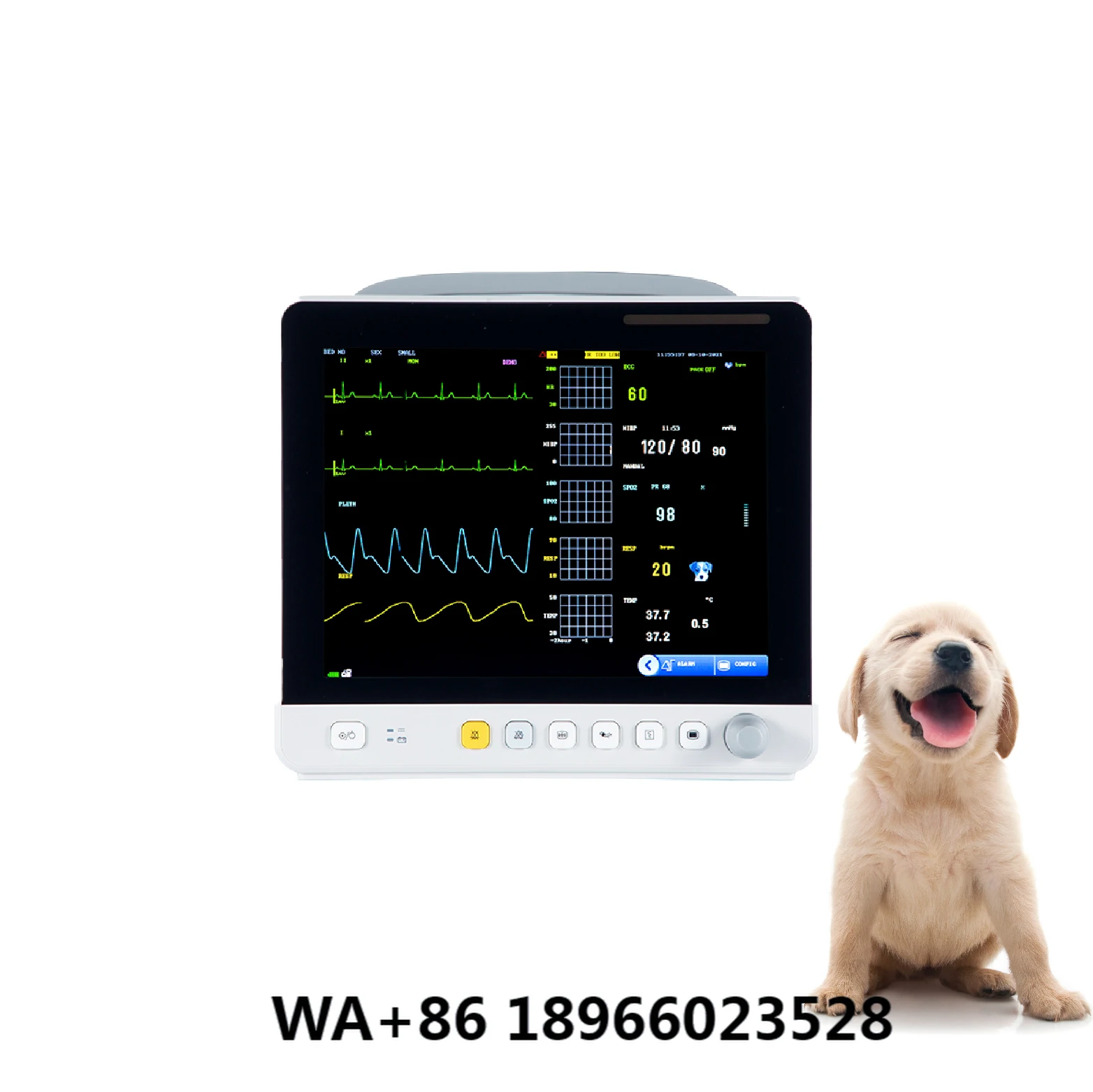 Yonker High Quality Veterinary Vet ICU Surgical Vital Signs Multi Parameter Medical Monitor