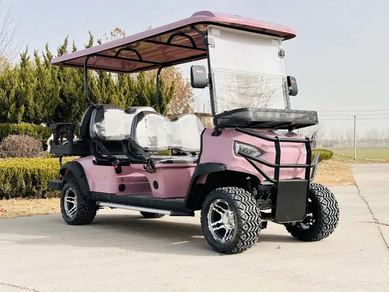 حار بيع جديد 4 مقاعد رفع على الطرق الوعرة الكهربائية الصيد عربة جولف عربات التي تجرها الدواب الكهربائية #5