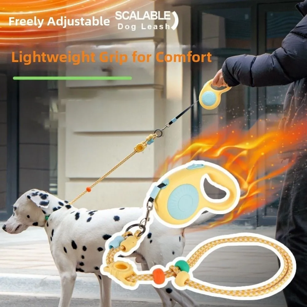 3M Dog Walking Leas…