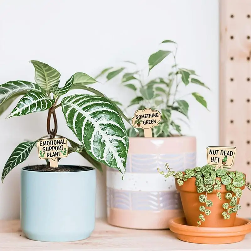 Plant Markers Garden Labels Outdoor Waterproof 15X Waterproof Wooden Stakes With Funny Saying For Labeling Outdoor Indoor