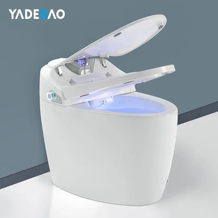 Luxury Modern Style Fully Automatic Operation Electric Bidet Siphonic Flush Intelligent Toile