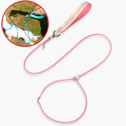 Dog Leash P Chain Leashes for Dog Walking Adjustable Dogs Leash Nylon P Chain Dogs Leashes Puppy Training 150cm Rope Pet Puppies