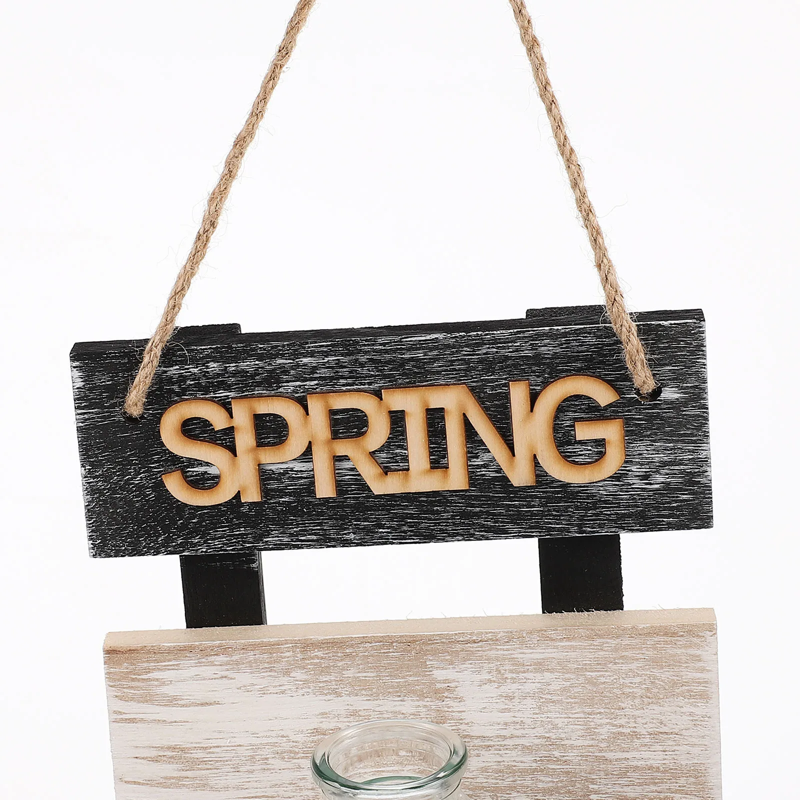 

Home Decor Wall Hydroponic Vase Creative Hanging Planter Ornament for Hydroponics