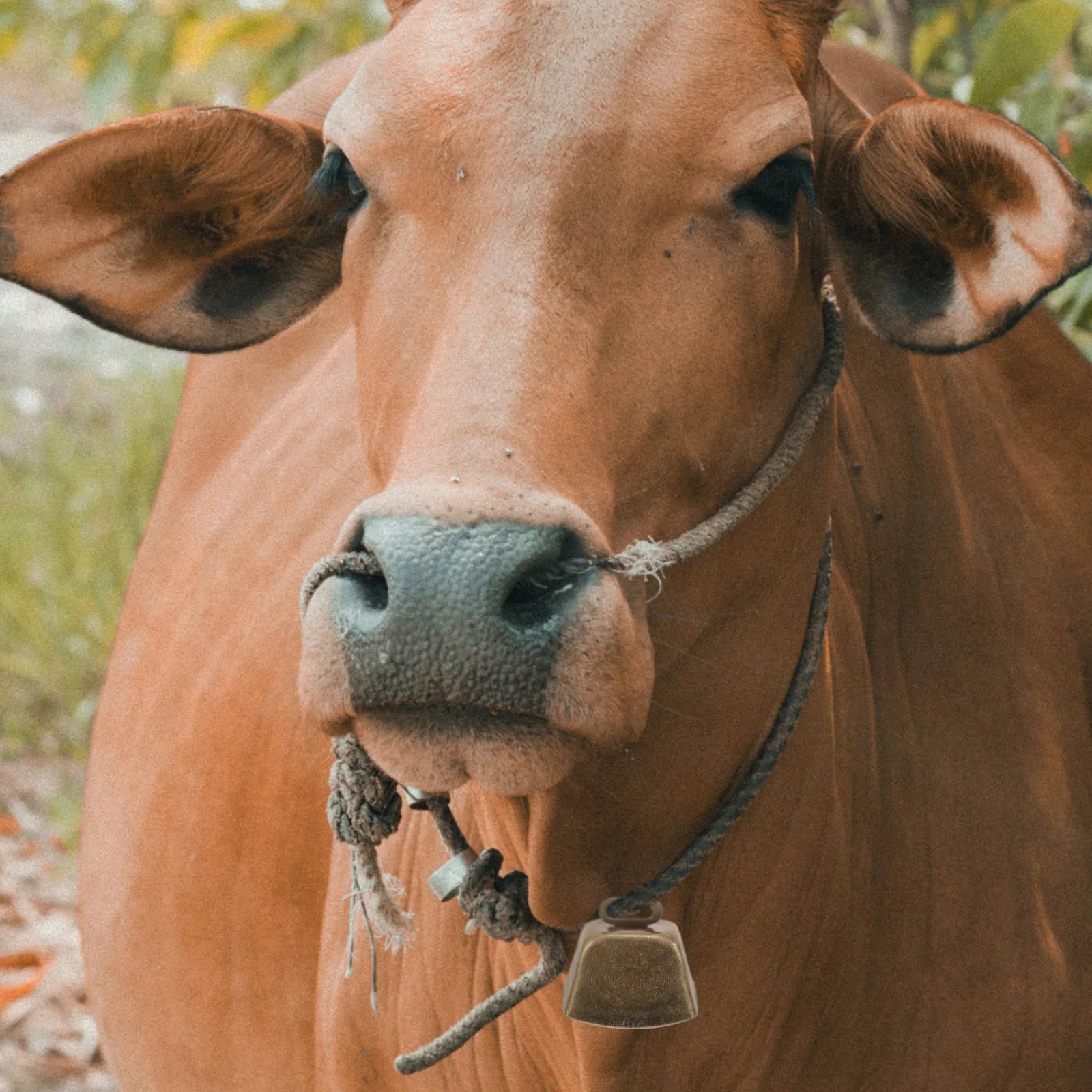 

6pcs Vintage Cow Bells Metal Craft Bells For Farm Animal Grazing Anti-Lost Loud Chime Hanging Decor Christmas Ornament Noise