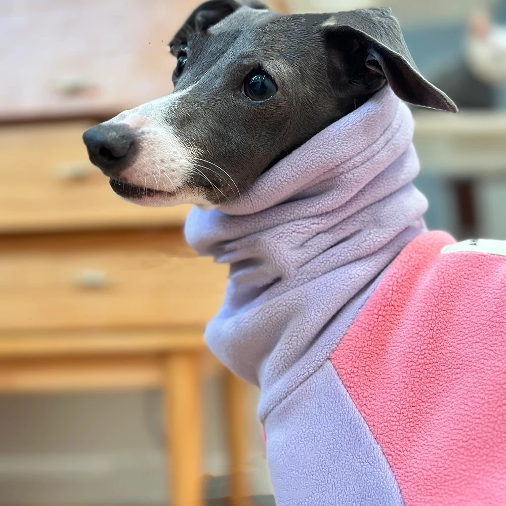 Warm Fleece Purple Pink Sweatshirt for Mid Dogs Autumn Soft 4-legged High-Neck Windproof Winter Coat for Italy Little Greyhound