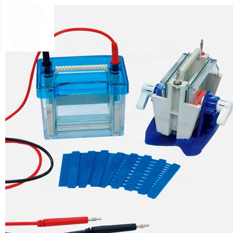 Vertical gel electrophoresis system with electrophoresis power supply